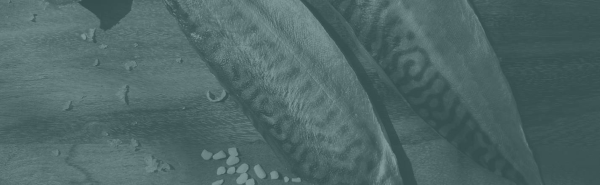 Sappia - Restaurant Toulon - restaurant Français TOULON